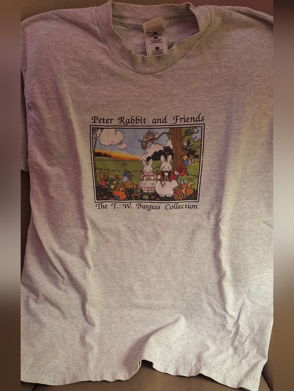 Peter Rabbit and Friends Kids Graphic Tee - Light Gray Vintage. Rare